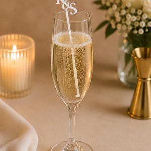 Personalized Double Initial Drink Stirrers, Monogram Swizzle Sticks, Wedding Cocktail Stirrers, Custom Initial Wedding Decor image 7