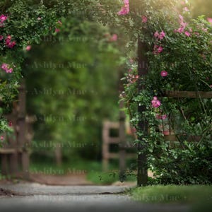 Spring Stroll Digital Background, Floral Arch Path Backdrop, Layered Spring PSD, Flower Garden Background, Photography Digital Background