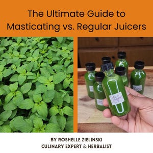 May include: An orange graphic with text: "The Ultimate Guide to Masticating vs. Regular Juicers." The image shows green leafy plants and small green bottles of juice. The text at the bottom reads: "BY ROSHELLE ZIELINSKI CULINARY EXPERT & HERBALIST."