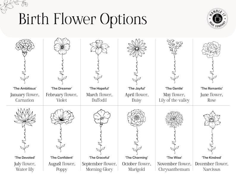 May include: A chart titled Birth Flower Options displaying twelve black and white line art illustrations of flowers, each with a stem featuring the word Name in script. Labels include January Carnation, February Violet, March Daffodil, April Daisy, May Lily of the valley, June Rose, July Water lily, August Poppy, September Morning Glory, October Marigold, November Chrysanthemum, and December Narcissus.