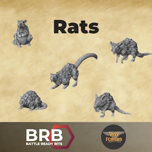 May include: A collection of gray miniature rat figurines in various poses. The word "Rats" is displayed in bold black text. The BRB and Voy Forges logos are visible at the bottom.