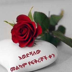 Happy Valentin's Day