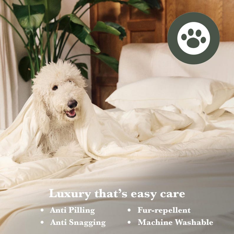 Organic Bamboo Bed Sheet Set & Duvet Cover: Silky Soft, Breathable and Sustainable, Deep Pocket, Hidden Zipper, OEKO, Gift Package image 7