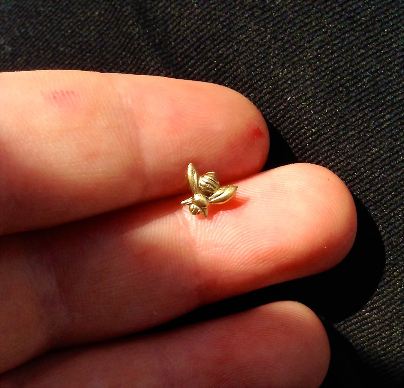 Brass Bee or not to Bee Surgical Steel Stud Earring. Perfect for Helix and Cartilage Piercings. 