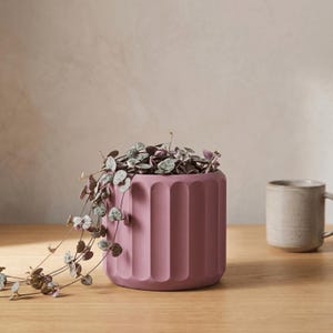 May include: A matte mauve cylindrical planter with vertical fluted grooves containing a trailing string of hearts plant with small variegated heart-shaped leaves. A speckled light grey ceramic mug sits to the right of the plant container.