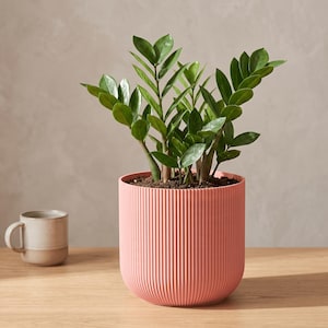 Forma Planter, 3D Printed Ribbed Plant Pot with Drainage, Minimalist Cylindrical Indoor Planter, Modern Succulent Pot, Made in Australia