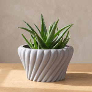 May include: A vibrant green aloe vera plant with pointed, fleshy leaves growing inside a light grey planter. The planter features a distinct, repeating diagonal spiral or ribbed texture that wraps around the entire exterior of the round vessel.
