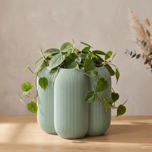May include: A sage green ceramic planter with a vertical ribbed texture and a rounded, multi-lobed shape. The planter contains a trailing philodendron plant with heart-shaped green leaves that spill over the sides of the container.