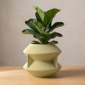 May include: A pale yellow, ribbed planter with a geometric, hourglass-inspired silhouette and four vertical fins extending from the centre. A green fiddle leaf fig plant with large, glossy, dark green leaves is potted inside the container.