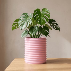 May include: A vibrant green Monstera plant with large, split leaves potted in a cylindrical, light pink planter. The planter features a distinct horizontal ribbed texture that wraps around the entire exterior, providing a consistent, repeating pattern from the top rim to the base.