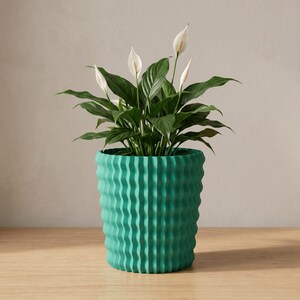 May include: A vibrant teal plant pot with a distinct vertical wavy, ribbed texture. The pot contains a lush green peace lily plant featuring several dark green, pointed leaves and multiple white spathe flowers with upright central spadices.