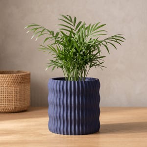 May include: A vibrant green parlour palm plant potted in a deep navy blue cylindrical planter. The planter features a distinct vertical wavy or ribbed texture along its exterior surface, providing a tactile and structured appearance for the plant.