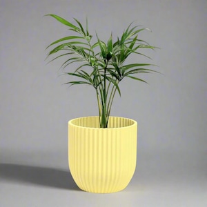 May include: A houseplant with long, green leaves in a yellow, ribbed ceramic pot. The pot has a rounded shape and a matte finish. The plant is centered against a grey background.