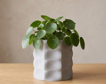 Maceta Veyla, maceta impresa en 3D con drenaje, maceta minimalista para interiores, maceta moderna para suculentas y cactus, fabricada en Australia.