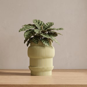 May include: A pale yellow cylindrical planter with a vertical ribbed texture throughout its body. The planter features a wider middle section and a base with a matching ribbed design. A green Calathea plant with patterned leaves sits inside.
