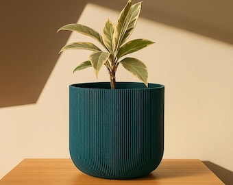 Down Under Pot Size D 7