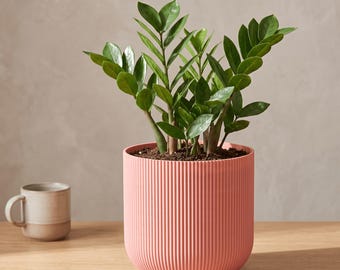 Forma Pflanzgefäß, 3D-gedruckter, gerippter Pflanztopf mit Abflusslöchern, minimalistischer, zylindrischer Indoor-Pflanztopf, moderner Sukkulententopf, hergestellt in Australien