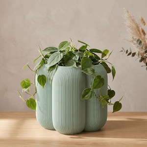 May include: A light sage green cylindrical planter with a vertical ribbed texture. The planter features a rounded, multi-lobed shape and contains a trailing green philodendron plant with heart-shaped leaves spilling over the sides.