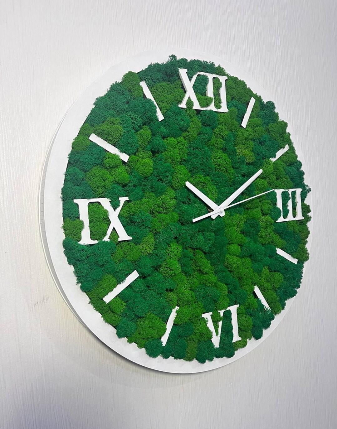 Modern Green Moss Wall Clock With Preserved Reindeer Moss, Eco Wall ...