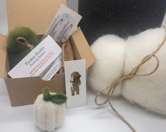 Needle Felting Kit, DIY Kit, Felt Pumpkin, Needle Felting Kit, Needle Felting, Felting Kit, Felting Supplies, Felted Pumpkin, Felting Kit