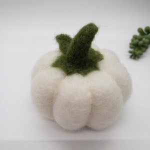 May include: A small white felt pumpkin with a green felt stem.