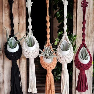 以下が含まれることがあります： 白い陶器の鉢と緑の植物が入ったマクラメ製のプラントハンガーが5つ。ハンガーは黒、白、オレンジ、赤です。