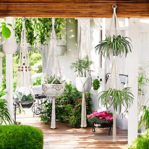 Op de afbeelding: Vier macramé plantenhangers met wit touw en houten kralen die aan het plafond van een veranda hangen. De hangers houden verschillende planten in potten.