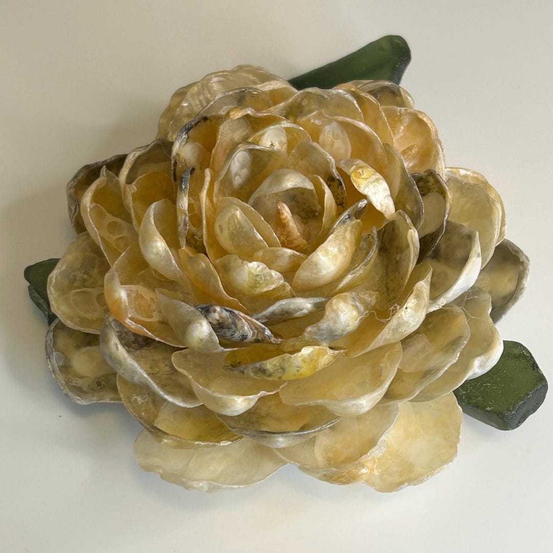Sea Shell Rose Larger Jingle Seashell Roses Handmade With Twilight Multi-colors With ...