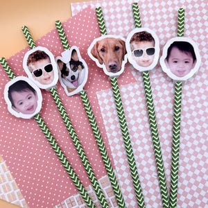 May include: A collection of decorative straws with green chevron patterns. Each straw features a white cutout with a photo of a person or a dog. The background includes pink and white patterned paper.
