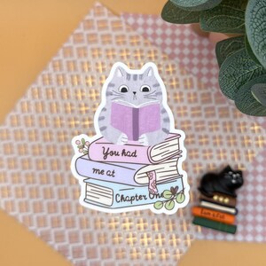 Funny Book Lover Sticker: Matte & Holographic Vinyl Decal