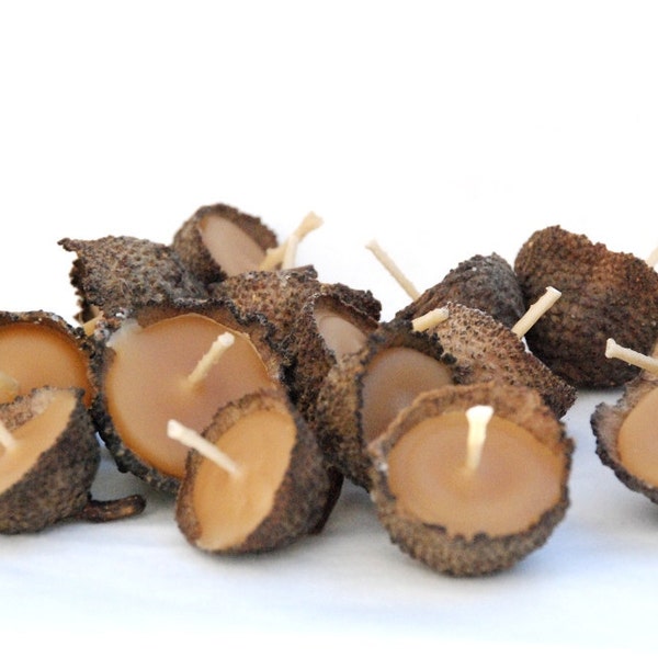 10 Acorn Cap Candles - Floating - Beeswax