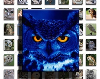 Owls - Instant Download - 75inx.83in Scrabble Size Image Tiles, Digital Collage Sheet PDF Images