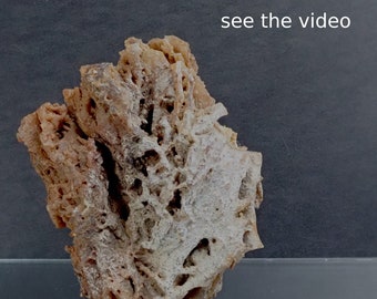 30212 Chalcedony Specimen skeletal brown chalcedony specimen 75 x 60 x 30 104 grams  collector display chalcedony specimen from thegemdealer