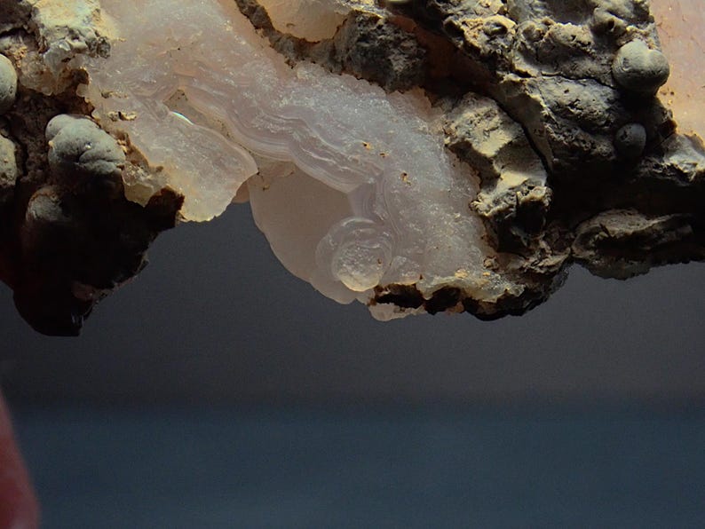 May include: Close-up of a mineral specimen showing a light pink, translucent, layered formation. The mineral has a smooth, almost liquid appearance, contrasted by the rough, dark brown and grey surrounding rock. The overall texture is both delicate and rugged.