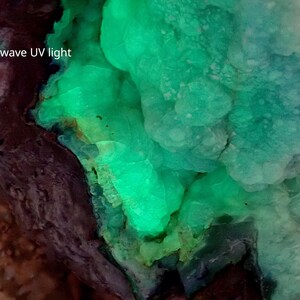 May include: A close-up of a green mineral under short wave UV light. The mineral has a bubbly texture and is glowing brightly.