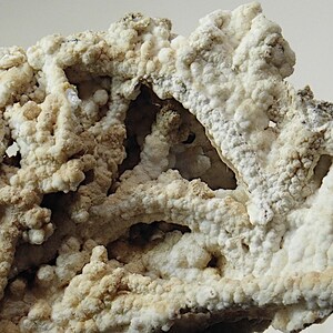 Puede incluir: Primer plano de un esp&eacute;cimen mineral con una superficie rugosa y texturizada. La formaci&oacute;n rocosa es principalmente blanquecina con &aacute;reas de color beige y marr&oacute;n. La estructura tiene una apariencia porosa con varias peque&ntilde;as aberturas y un vac&iacute;o similar a una cueva.