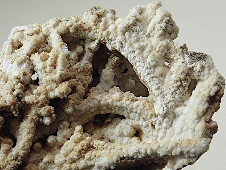 Puede incluir: Primer plano de un esp&eacute;cimen mineral con una superficie rugosa y texturizada. La formaci&oacute;n rocosa es principalmente blanquecina con &aacute;reas de color beige y marr&oacute;n. La estructura tiene una apariencia porosa con varias peque&ntilde;as aberturas y un vac&iacute;o similar a una cueva.