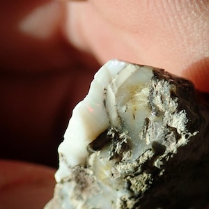 May include: A close-up of a rough, gray rock with a white opal embedded in it. The opal has a milky white color and a slight iridescent sheen.