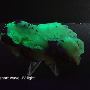 May include: A fluorescent green mineral specimen under short wave UV light. The mineral has a layered texture with dark purple and brown inclusions. The specimen is displayed on a clear plastic stand against a black background.