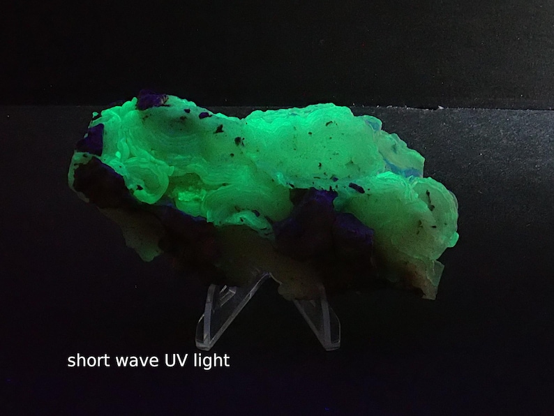 May include: A fluorescent green mineral specimen under short wave UV light. The mineral has a layered texture with dark purple and brown inclusions. The specimen is displayed on a clear plastic stand against a black background.