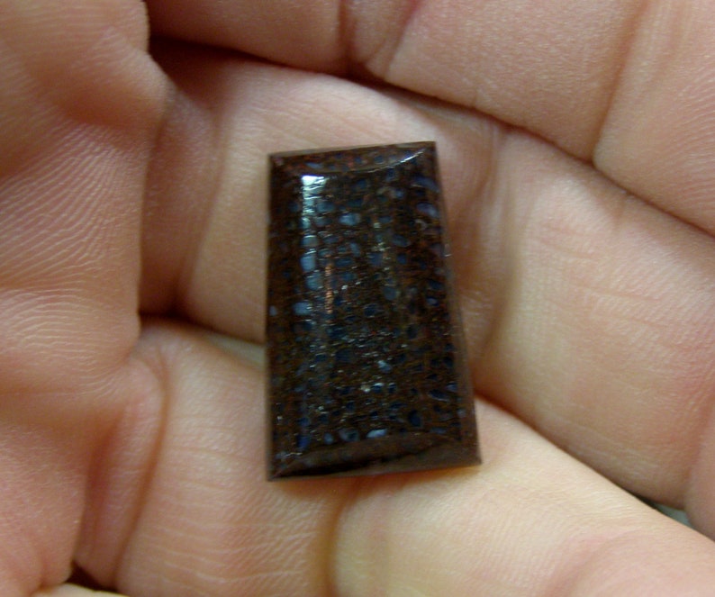 9068 Dinosaur Bone Cabochon 22 x 14 x 6 mm