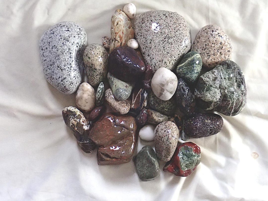 309584 Beach Rocks 15 Pounds of Pacific NW Beach Rocks Miscellaneous ...