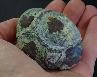 309760 Thunderegg uncut thunder egg 2 3/4 x 2" 5.9 oz thunder eggs, geodes, minerals, cabochons, faceted stones and jewery from thegemdealer