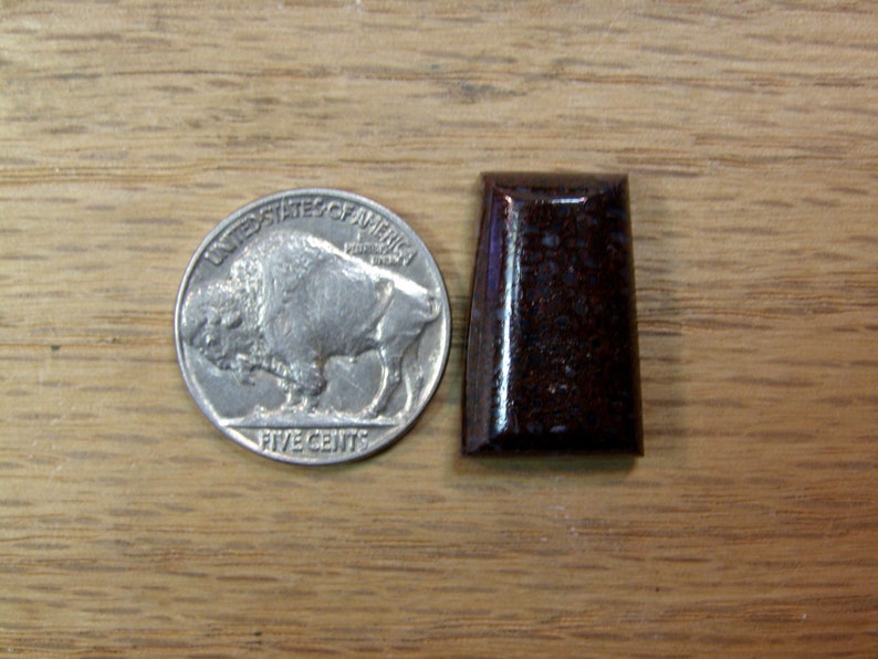 9068 Dinosaur Bone Cabochon 22 x 14 x 6 mm