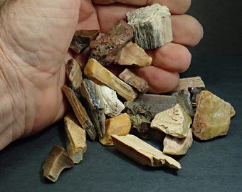 309526 Petrified Wood lot of small misc petrified wood pieces 5 oz total for display metaphysical decor collector crafting from thegemdealer