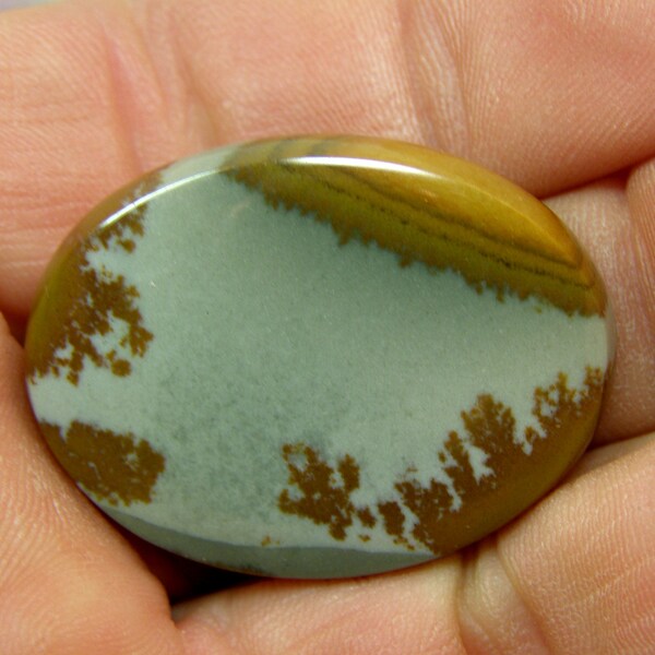 5079 Picture Jasper Cabochon