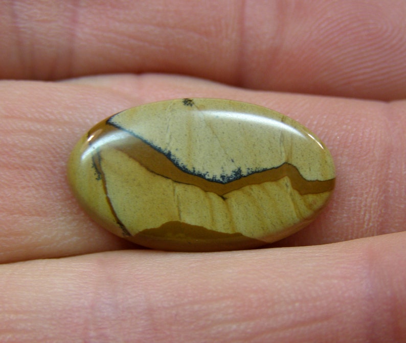 6015 Scenic Picture Jasper Cabochon