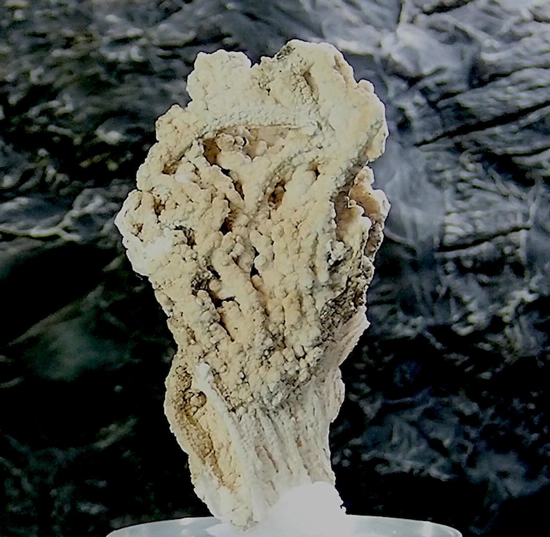 Puede incluir: Un esp&eacute;cimen mineral de color beige claro con una textura rugosa y porosa. El mineral tiene una forma vertical y alargada con una estructura cristalina. El fondo es gris oscuro moteado, proporcionando contraste con el mineral de color claro.