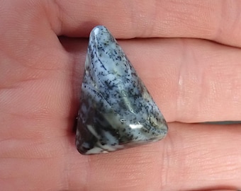 30772 Petrified Wood Cabochon designer hand made jewelry making cabochon 30 x 22 x 10 mm 31 ct UV petrified wood cabochon from thegemdealer
