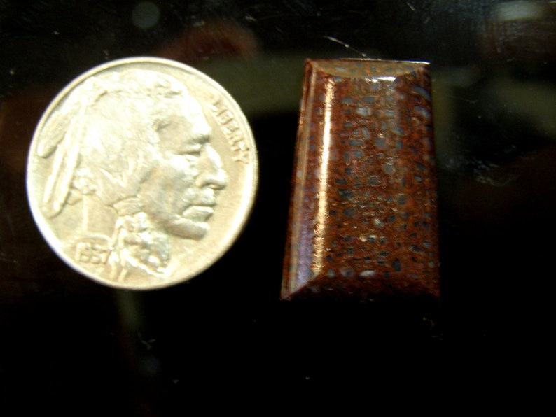 9068 Dinosaur Bone Cabochon 22 x 14 x 6 mm